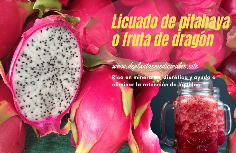 Pitahaya: Fruta exótica para subir las plaquetas