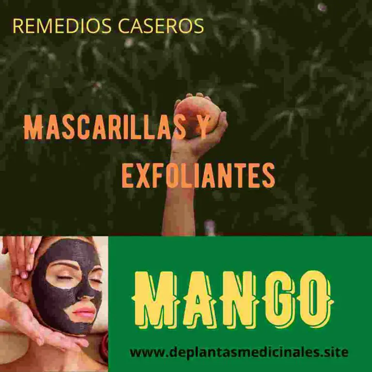 Cuida tu rostro con la Mascarilla de mango