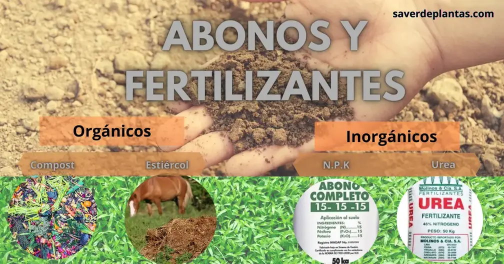 Ineficiente Ejecutable caballo de fuerza Abonos y Fertilizantes para tu jardín - 𝕋𝕠𝕕𝕠 𝕤𝕠𝕓𝕣𝕖 𝕝𝕒𝕤  ℙ𝕝𝕒𝕟𝕥𝕒𝕤