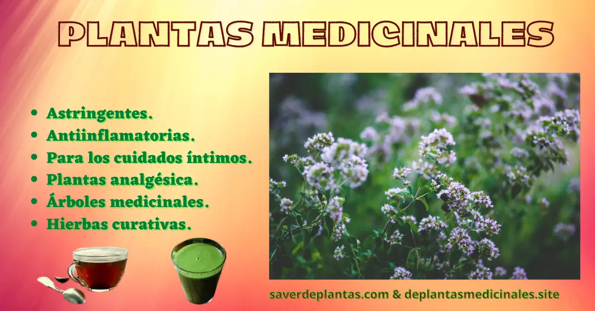 lista de plantas medicinales