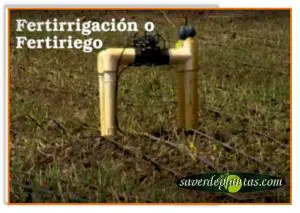 Sistema de fertirrigación